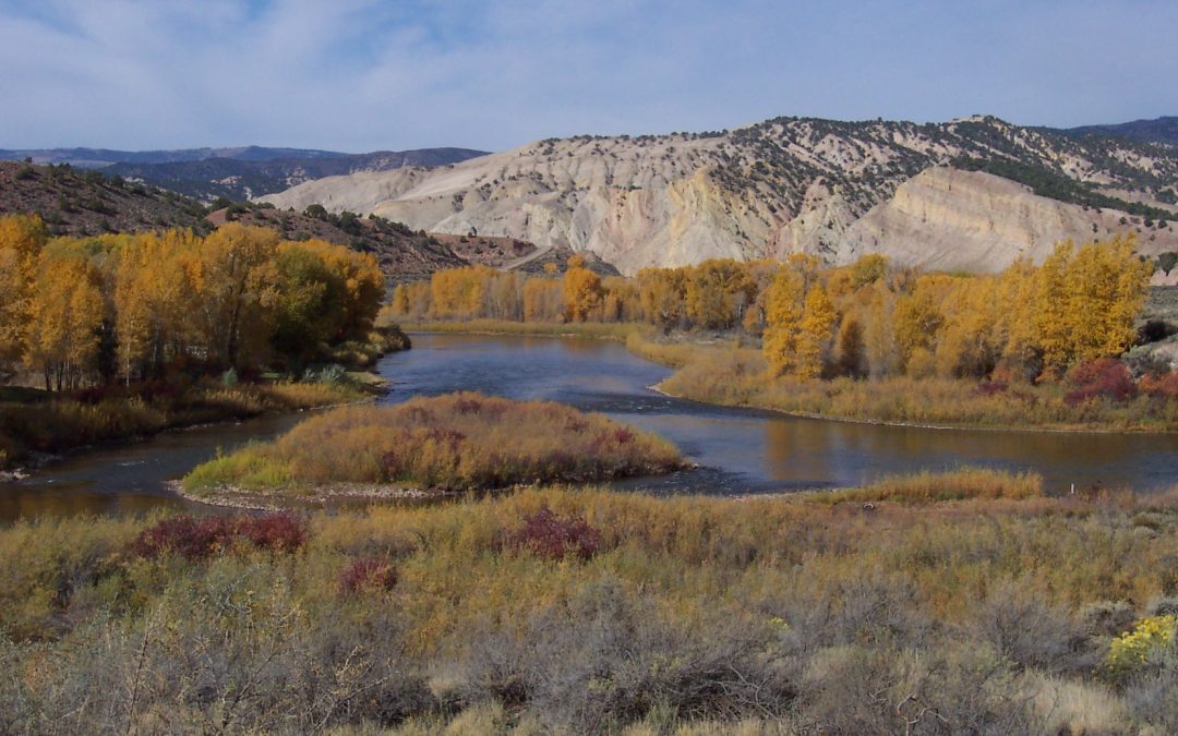 Future Plans for Colorado River Water