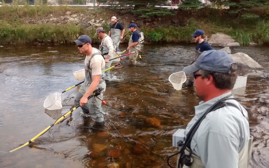 Recovering the Big Thompson River and its Economy