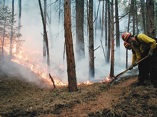 Opinion: Congress Must Ensure Healthy Forests and Secure Watersheds