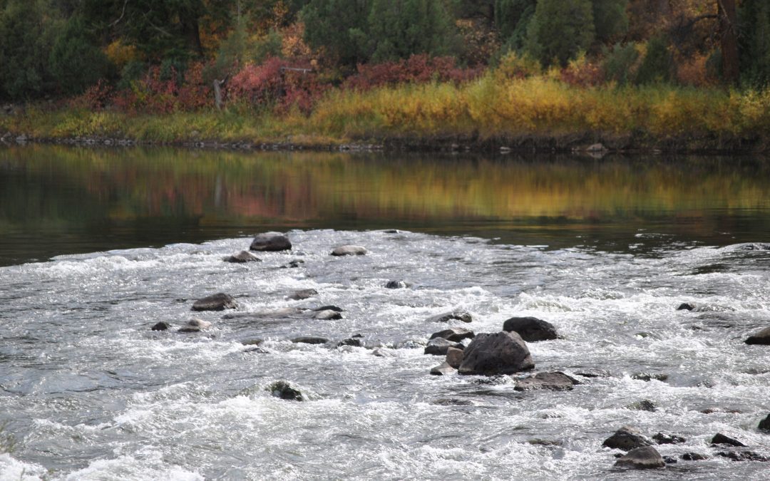 Public Access to Water Flowing Through Private Property