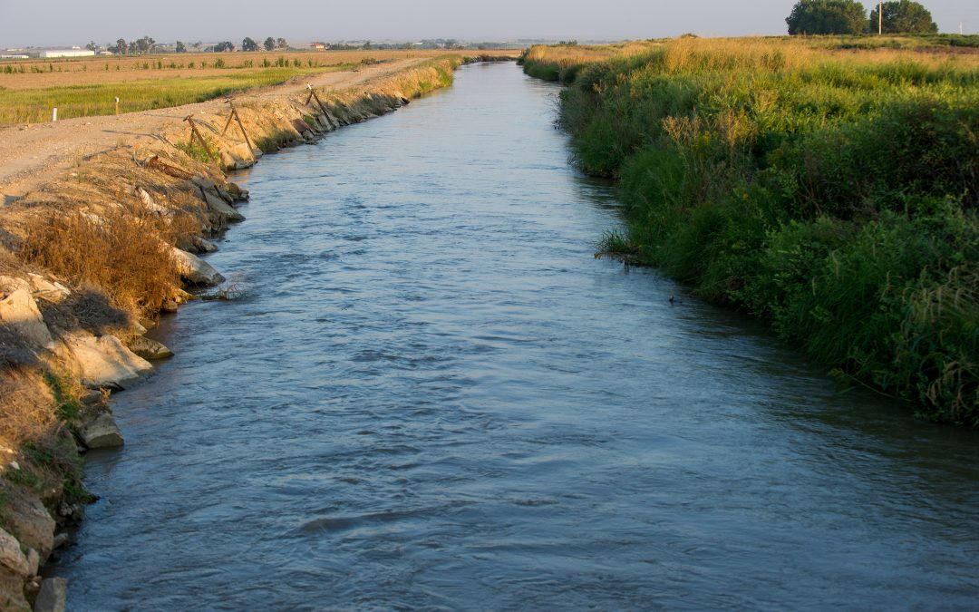 Investing in Farming’s Future