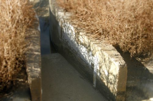 The sandy bottom of a former irrigation ditch in Crowley County