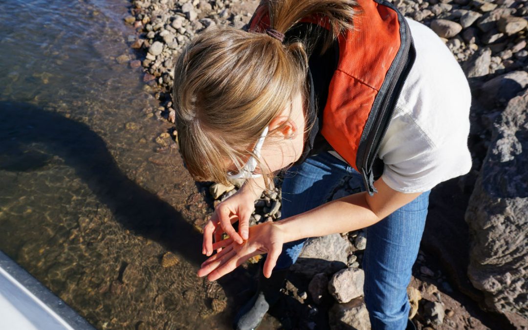 Money for Mussel Control