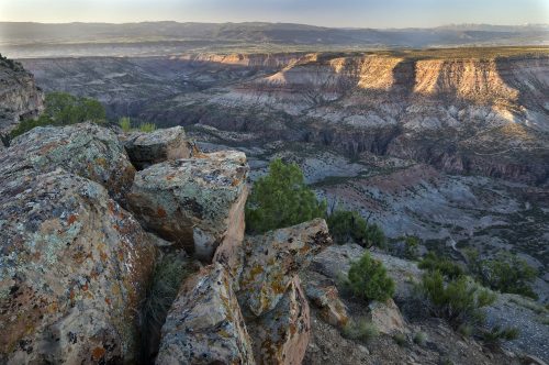 Over looking the Gunnison River in Black Canyon of the Gunnison National Park.