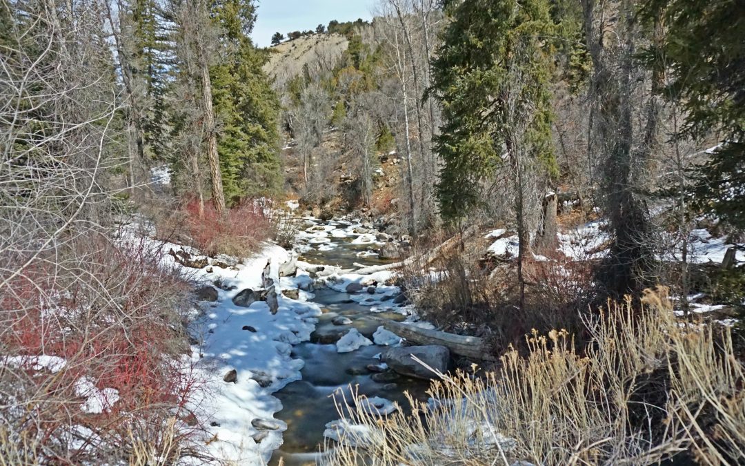 Could Colorado Soon Have a Second Wild and Scenic River?