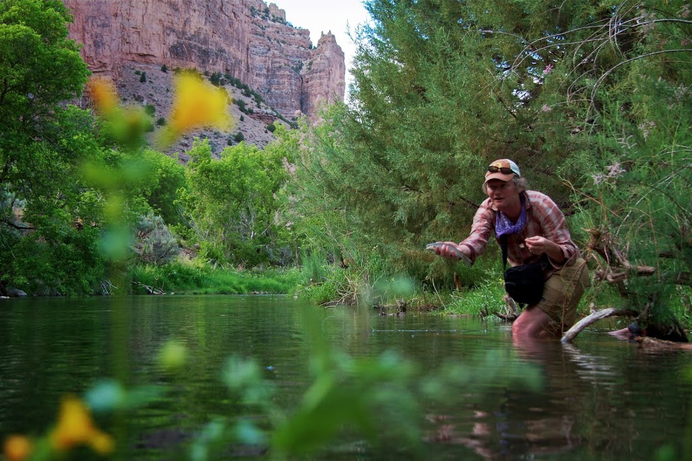 River and Stream Planning, Q&A with Dan Luecke