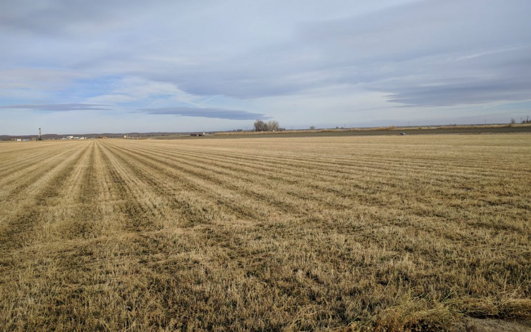 Room for Ag Conservation within Colorado’s Water Rights System