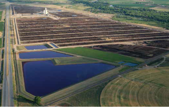 Cattle: The Plains’ Agricultural Muscle