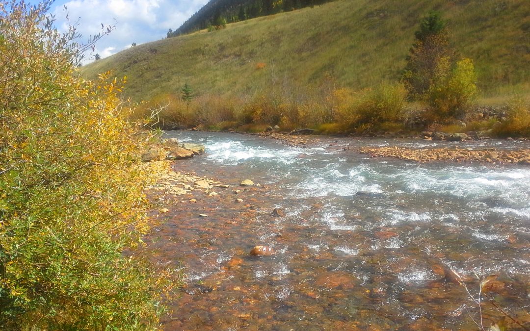 New grants propel an ambitious reuse plan for the South Platte River