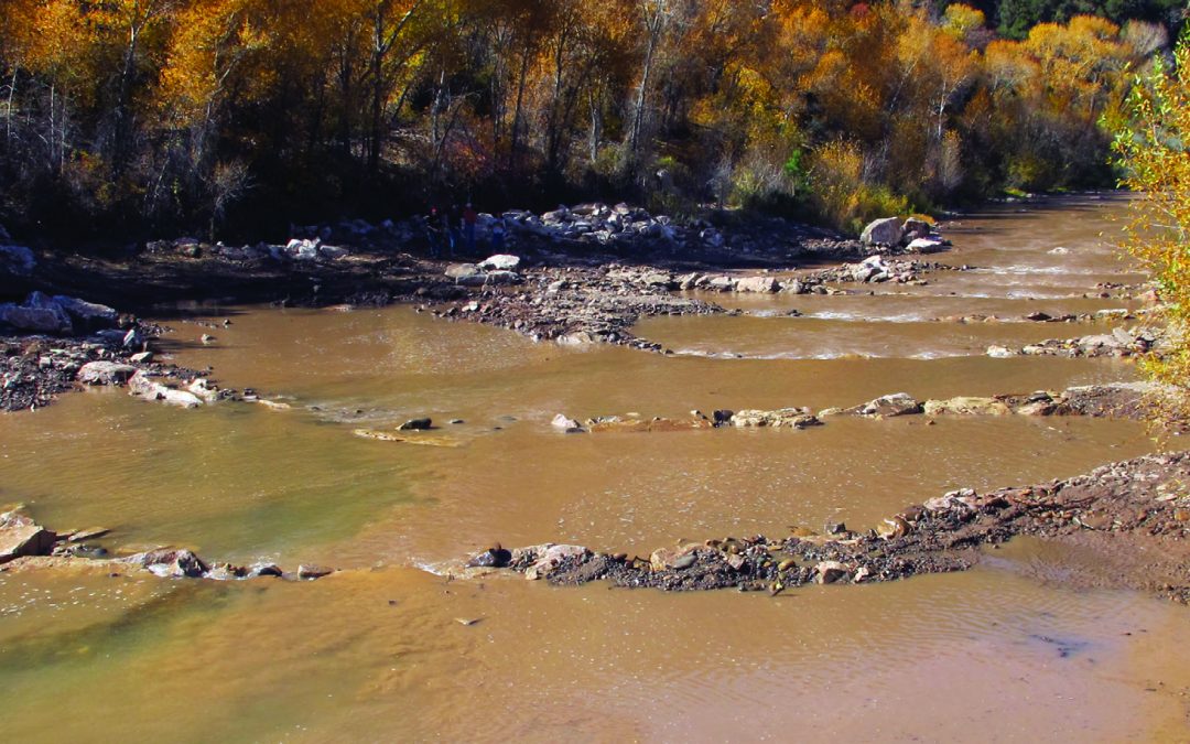 Salvaging Streamflows on the San Miguel