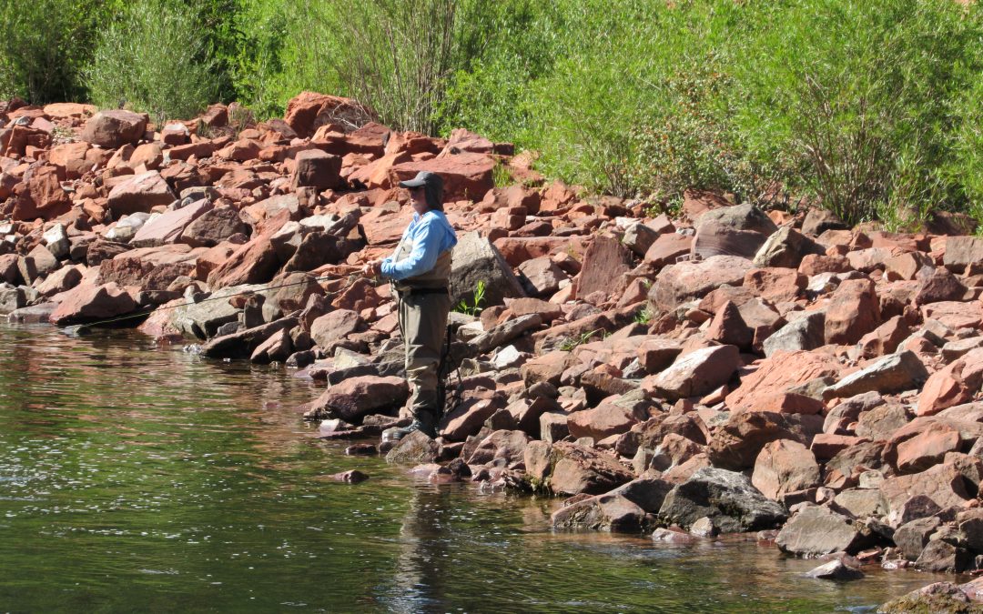 Study on potential cutbacks in Colorado River water due in January