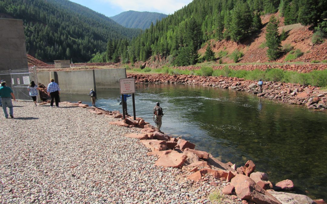 Colorado program that enhances streams gets a second chance at expansion this summer