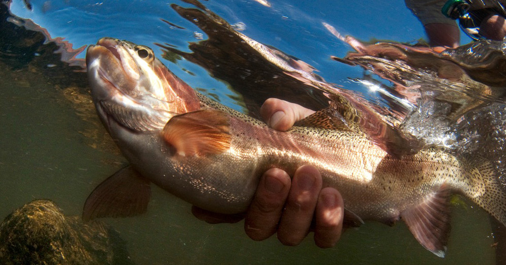 The Colorado: Our Namesake Working River