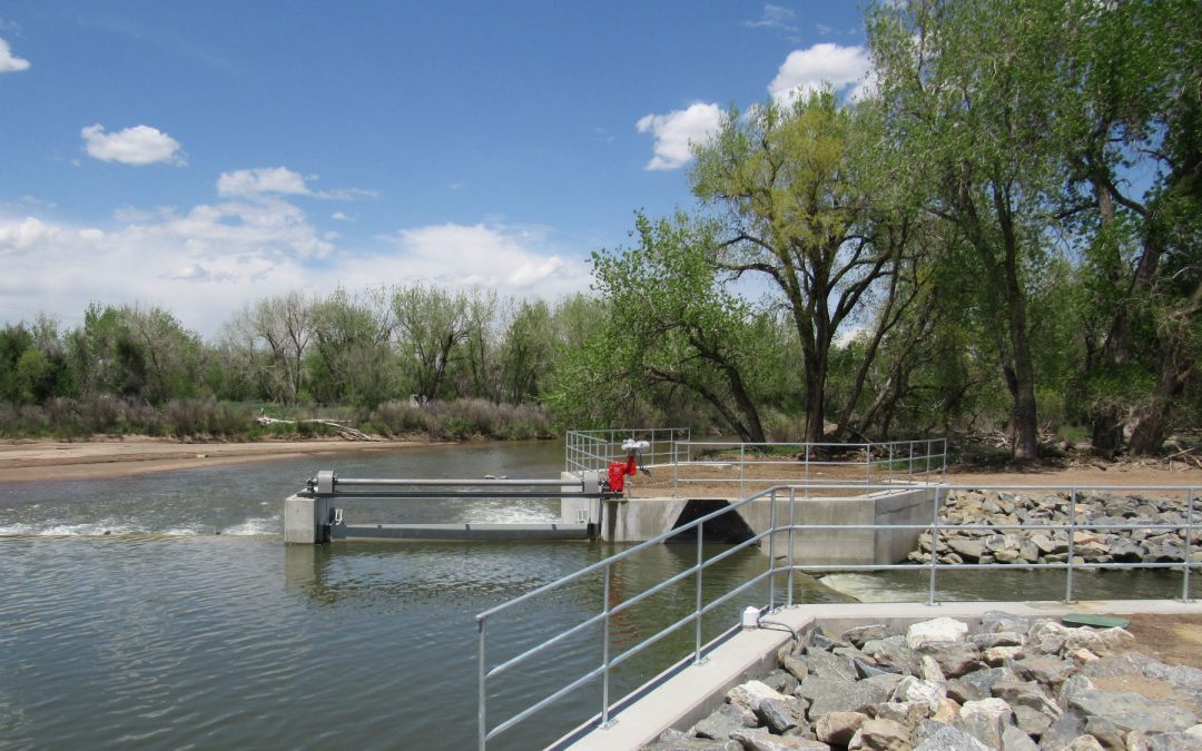 After the devastating 2013 flood, a river, a town, the farmers and fish find a silver lining