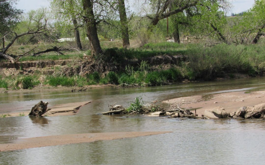 Is the South Platte River too salty? New study to examine water quality amid concerns