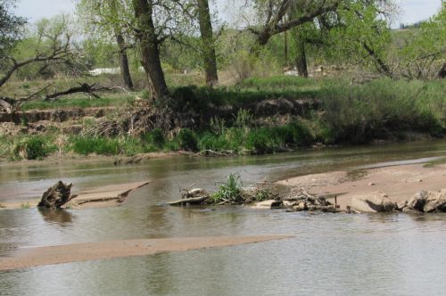 The South Platte River near Evans. A new study indicates that a proposal to create a regional water system on the South Platte River is feasible. Credit: Jerd Smith