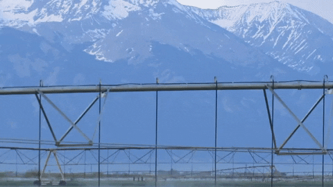 A powerful sprinkler capable of pumping more than 2,500 gallons of water per minute, irrigates a farm field in the San Luis Valley June 6, 2019. Credit: Jerd Smith