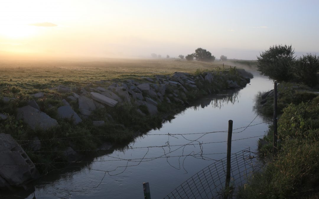 Evaluating Rising Salinity on the South Platte