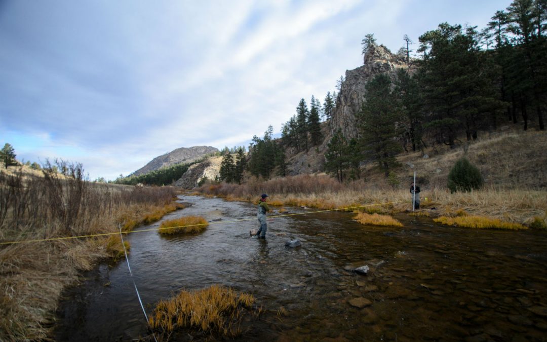 To boost Poudre River flows, cities, conservationists craft new plan from old playbook