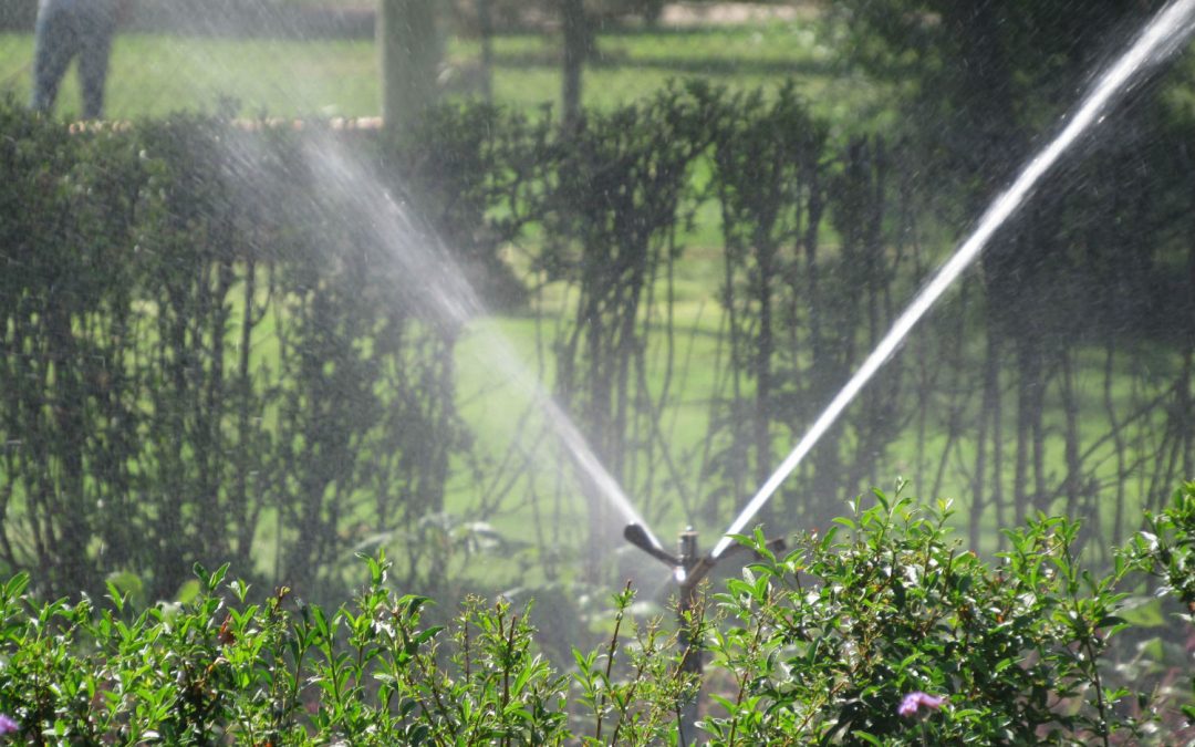 Colorado’s race to cut water use off to a slow start