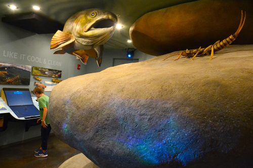 Tyler Maurais plays the trout game next to a trout display at Headwaters River Journey in Winter Park Sept. 18, 2019. Credit: Dan England