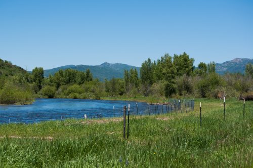 The Yampa River, Aug. 19, 2019. Credit: CU News Corps.