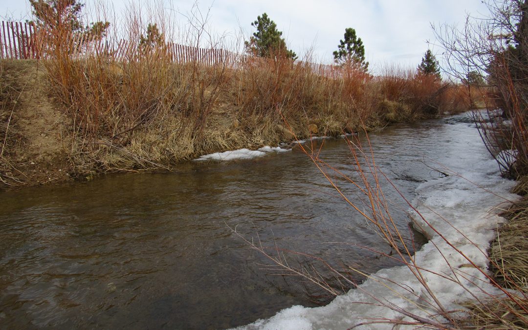 Report: Colorado’s farm water use exceeds national average, despite efforts to conserve