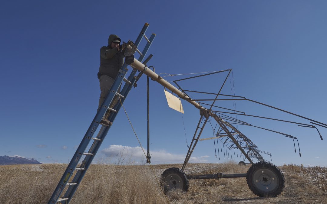 Colorado farmers tighten their belts as water supplies dwindle