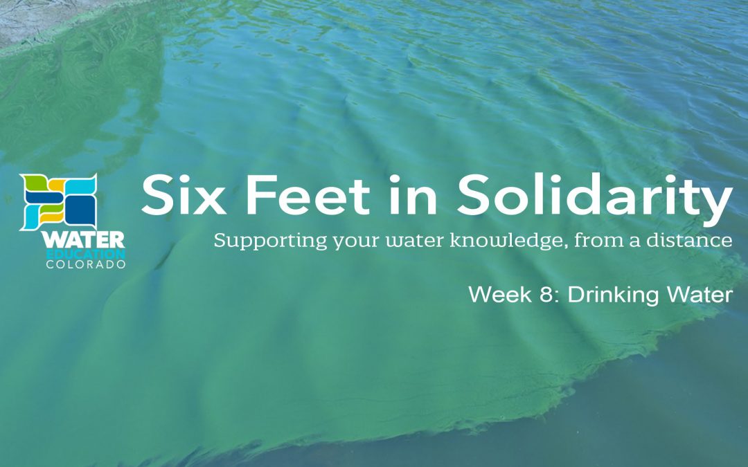 Six Feet in Solidarity – Week 8: Drinking Water