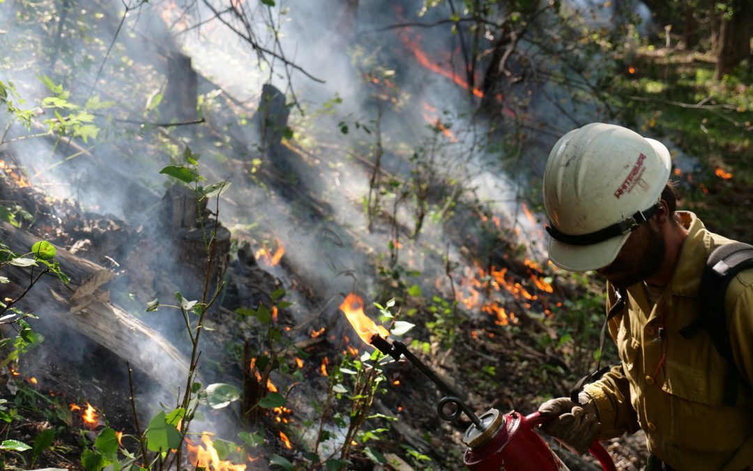 Small towns join wildfire collaboratives in new effort to protect homes, watersheds