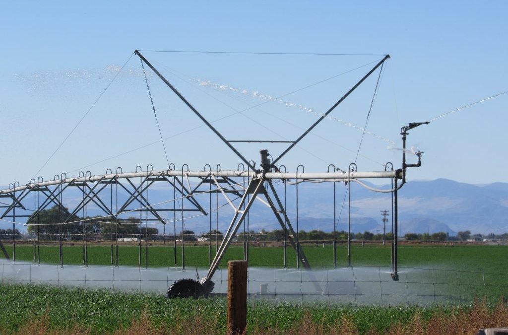 Hundreds of San Luis Valley farm wells at risk as state shortens deadline to repair Rio Grande River