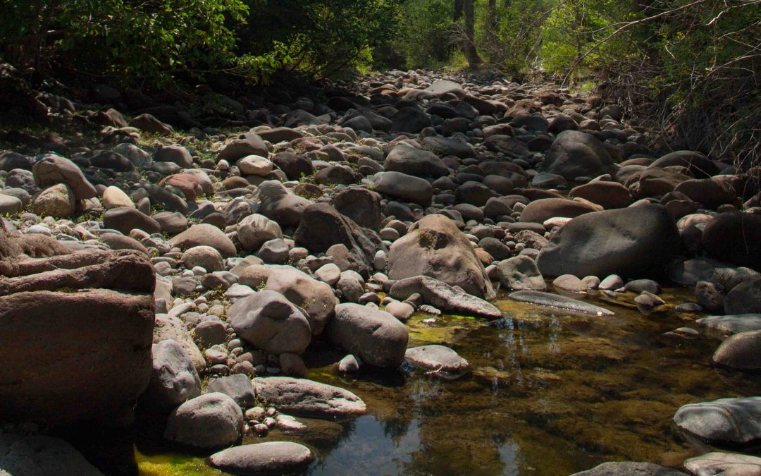 A Trust for Colorado Water