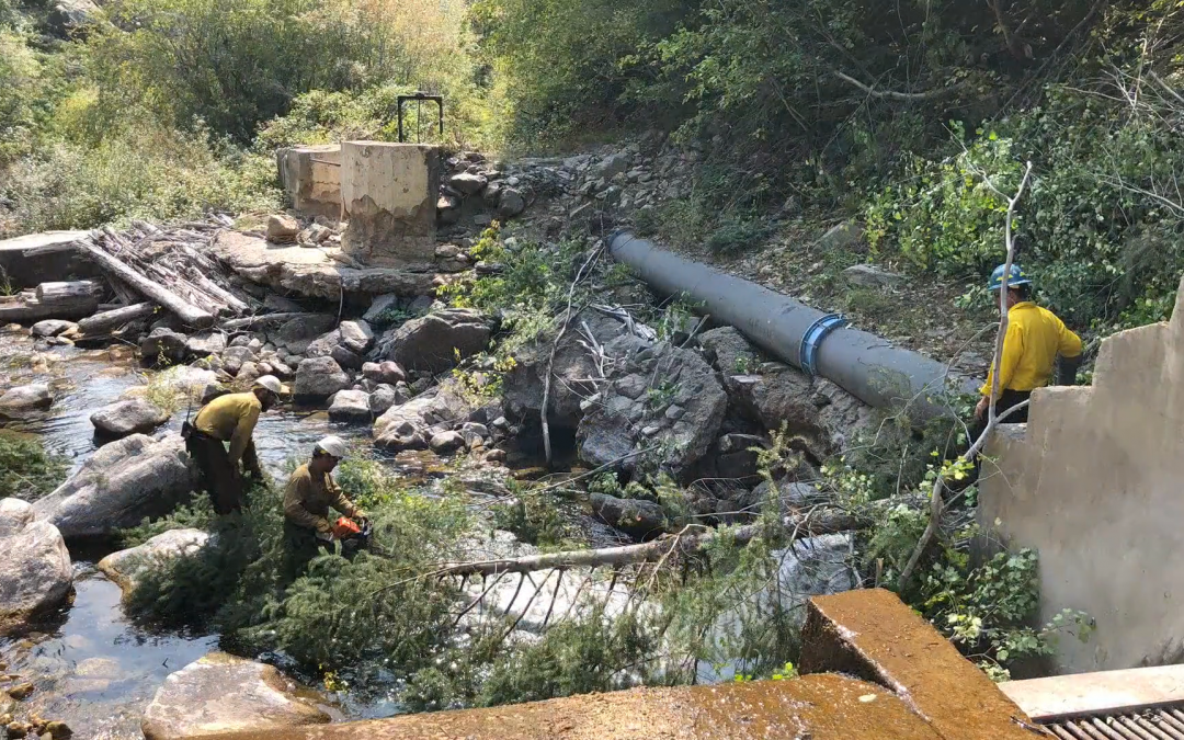 Special Report: Inside the toxic link between Colorado’s wildfires and its water