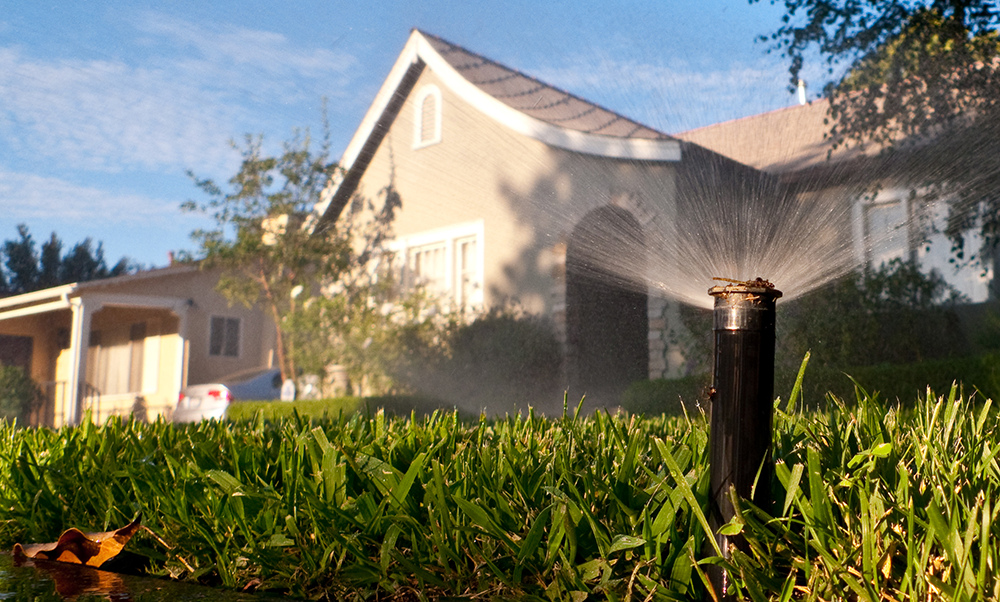 How to Save Water Inside and Outside the Home