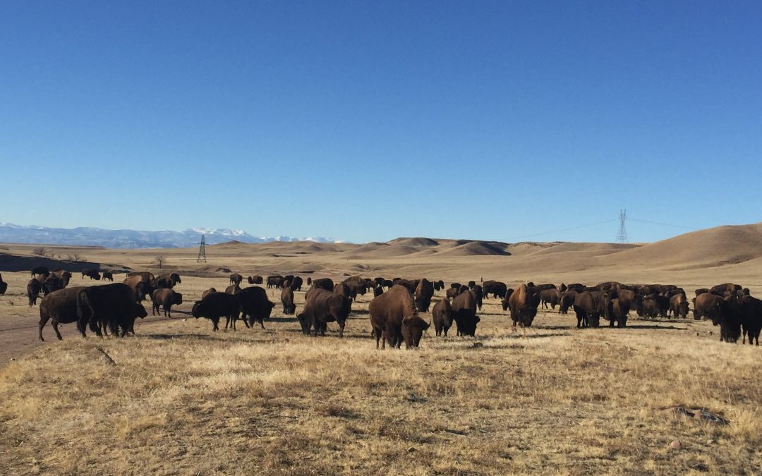 Greeley: Underground Storage at Terry Ranch