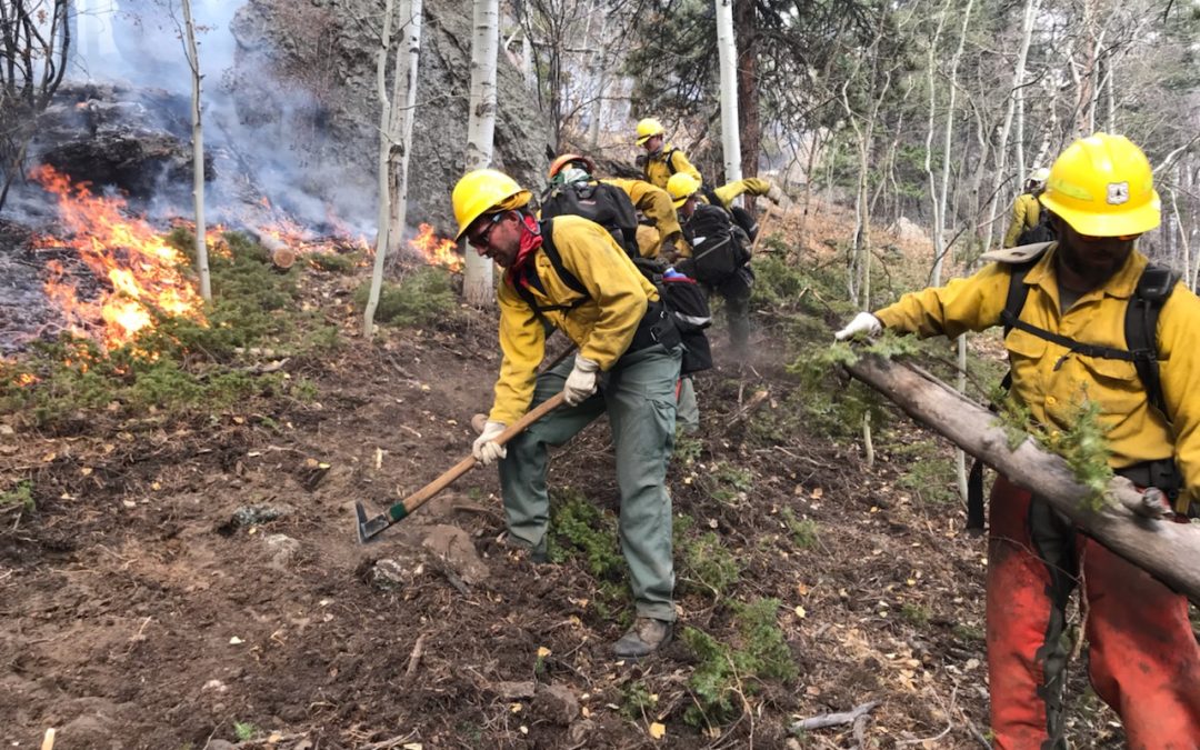 Meeting Colorado’s Future Forest Health and Watershed Challenges