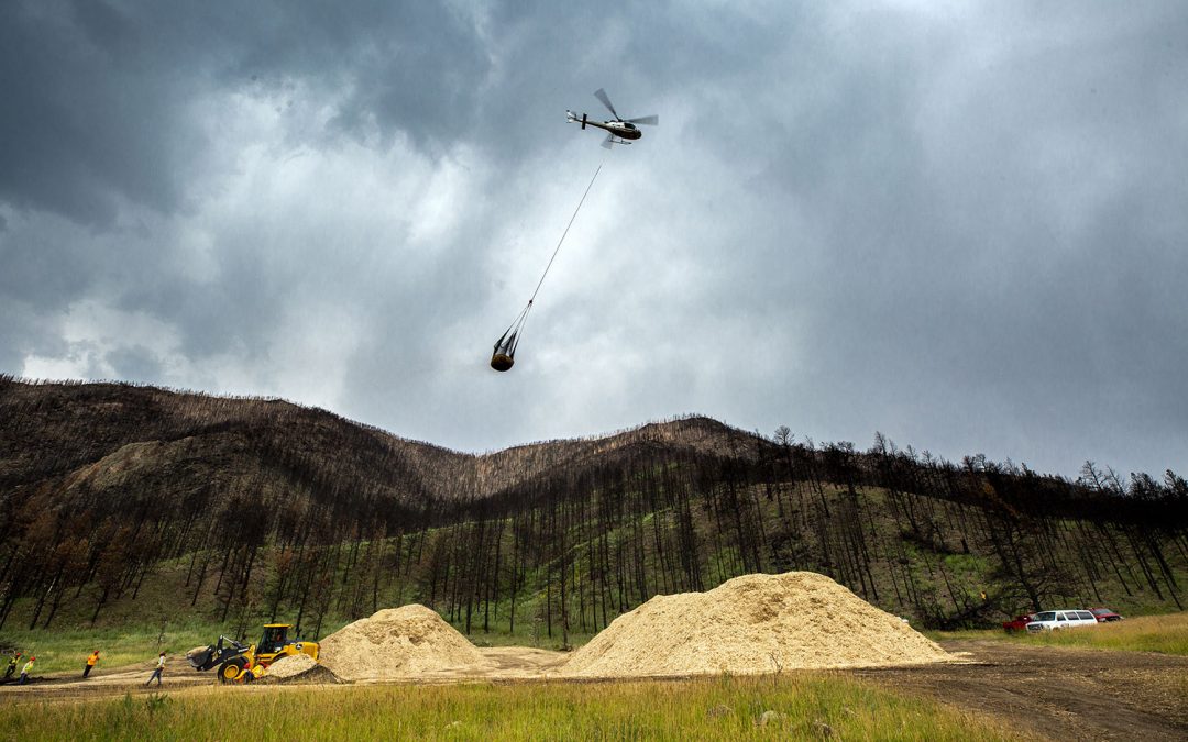 Water After Wildfire