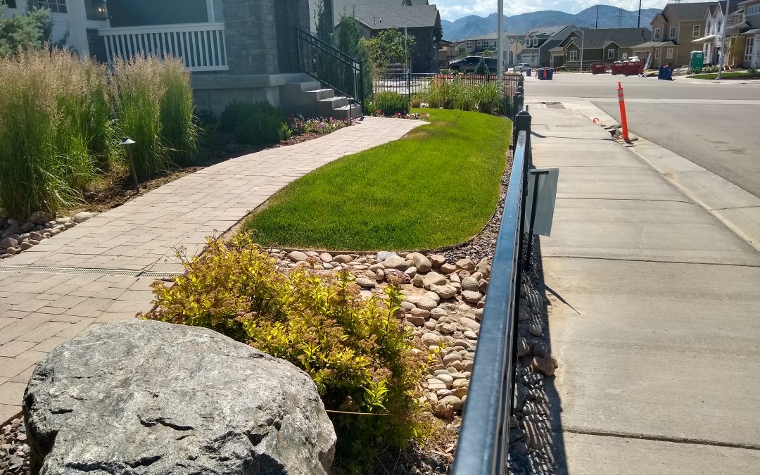 As cities watch closely, Sterling Ranch launching first rainwater harvest in Colorado