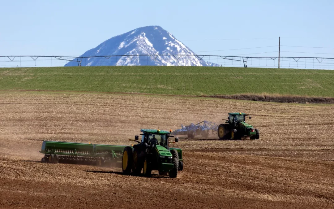 Are low-water crops a realistic way to cut back on Colorado water use? 10 southwestern farmers are trying to find out.