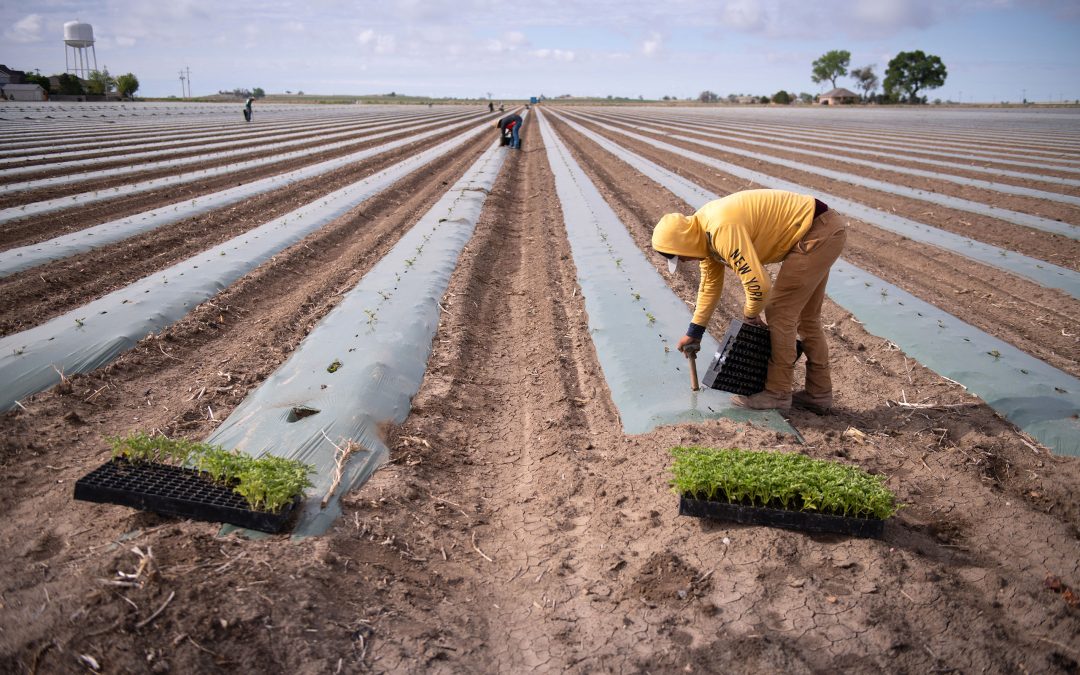 Major Arkansas Valley water district votes to oppose $80.4M Aurora farm water purchase