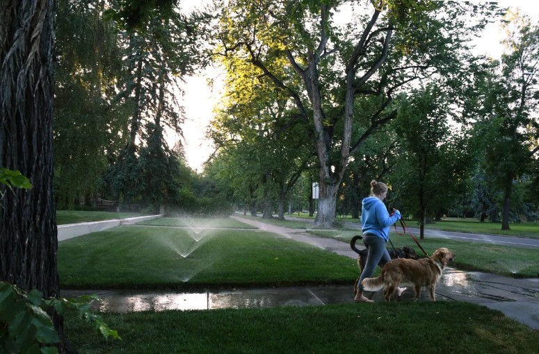 Stressful Mondays at Denver Water as customers embrace heavy morning sprinkling