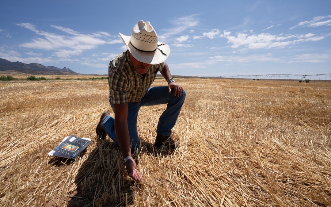 Colorado wants to help farmers survive drought, pests and market changes. Improving the soil may be key.