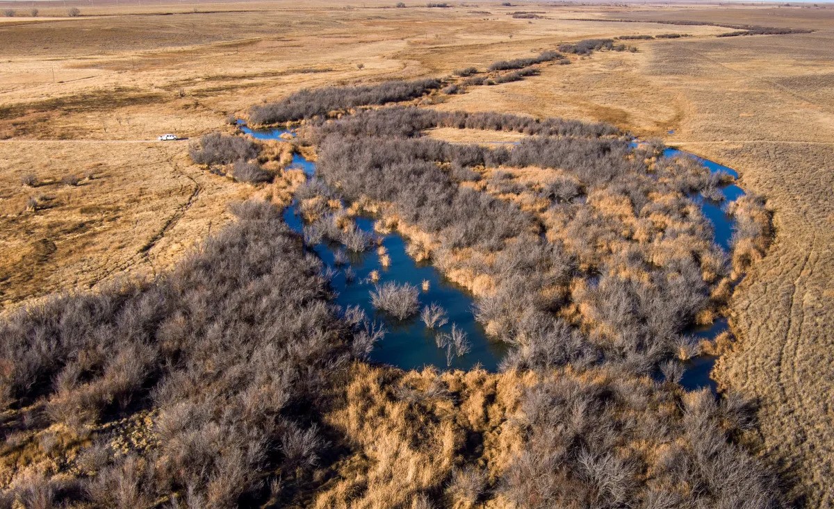 Big Sandy Creek near Lamar, Colorado.