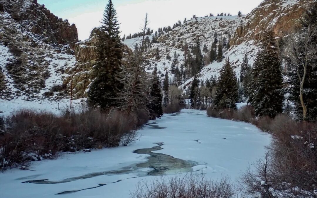 Colorado’s snowpack is average for January despite near-record warm conditions