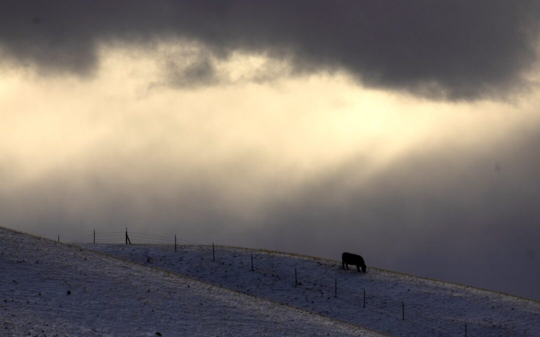 Aurora selects final site for its largest reservoir yet in Park County. Will it fill up?