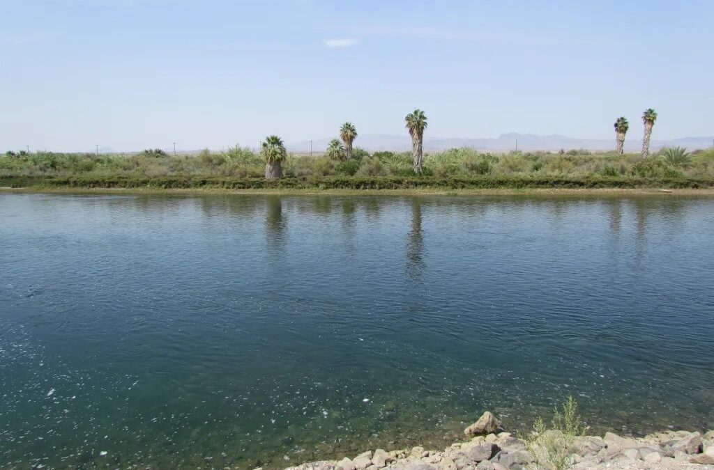 Colorado River advocates’ toolbox chips away at threats with many approaches — including personhood