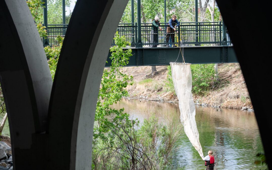 Young scientists launch cutting-edge microplastics research in Denver’s South Platte River