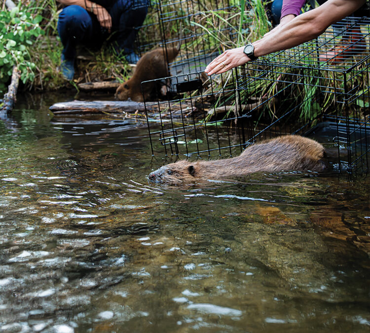 Muddying the Waters