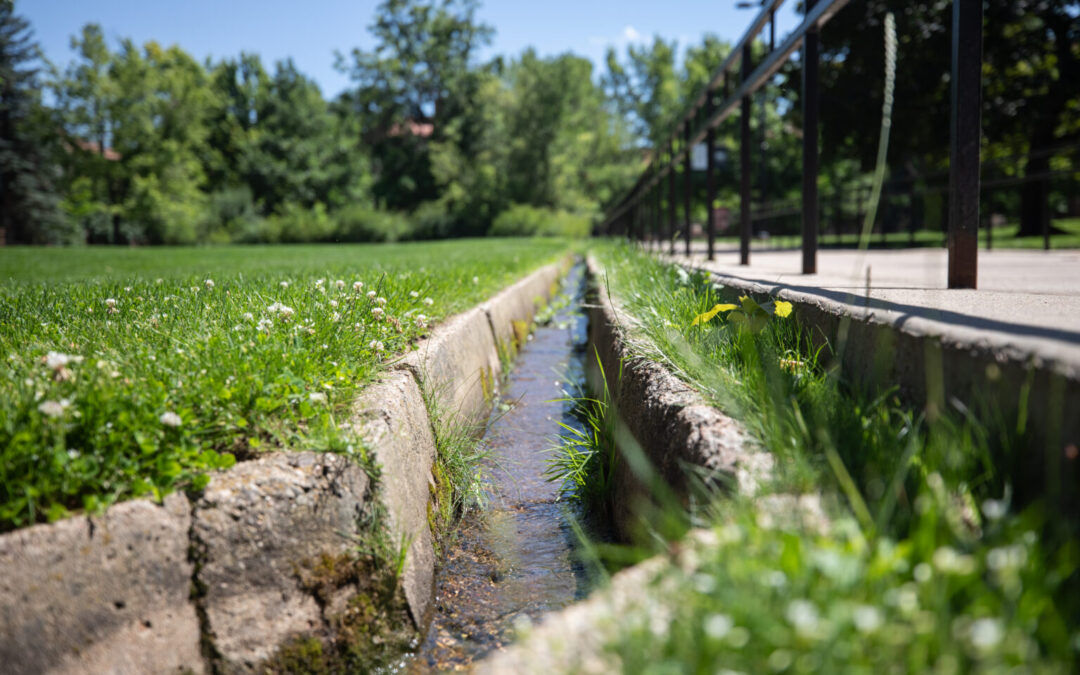 Western universities’ water use for lawns, golf questioned as drought continues