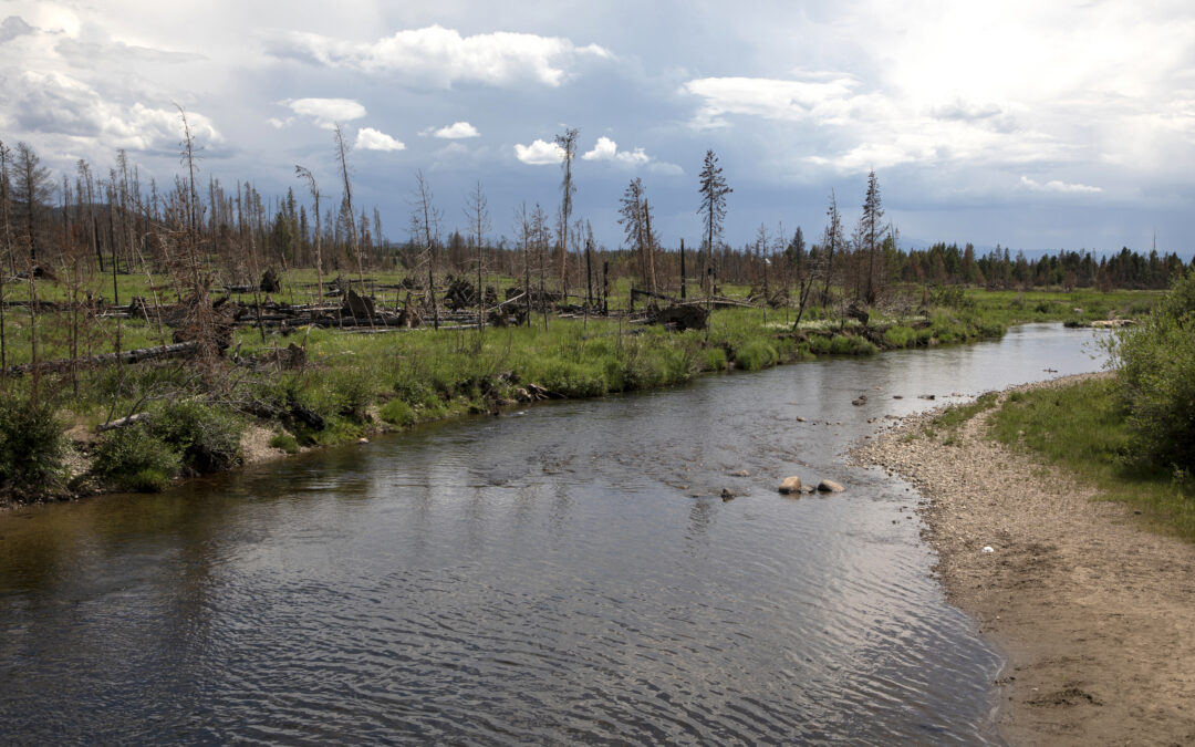 Denver Water backs wildfire and water protection ballot initiative